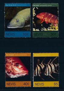 [35000] Nevis 2011 Marine Life Fish MNH