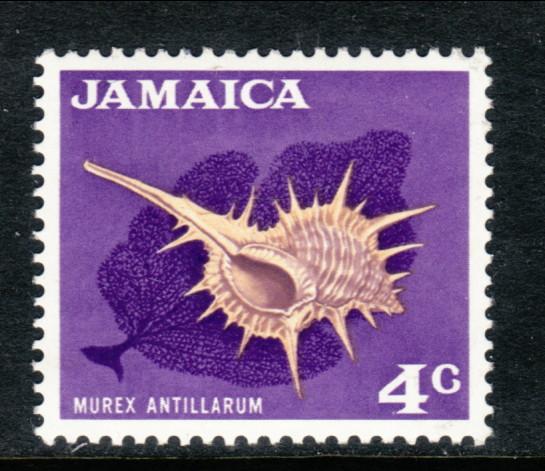 Jamaica Seashell 309 MNH VF