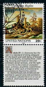 United Nations NY #627 Human Rights Article 25 used single w/ English label