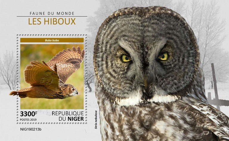 NIGER - 2019 - Owls - Perf Souv Sheet - Mint Never Hinged