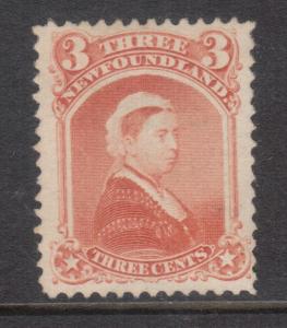 Newfoundland #33 XF Mint