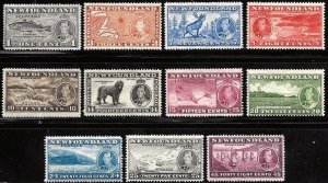 Newfoundland  233 to 243 OG