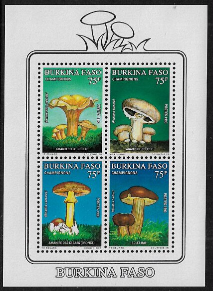 Burkina Faso #899a MNH S/Sheet - Mushrooms