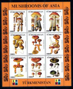 [68757] Turkmenistan Local Issue  Mushrooms Pilze Champignons Sheet MNH