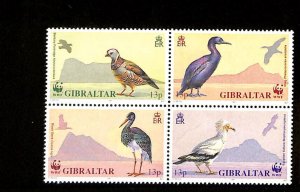 Gibraltar, Postage Stamp, #594a Mint NH, 1991 WWF Birds