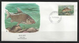 Malawi Sc 544 Yellow Fish L374