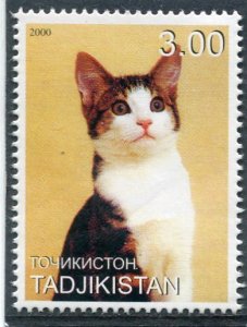 Tajikistan 2000 DOMESTIC CAT 1 value Perforated Mint (NH)