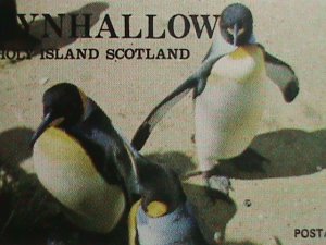 EYNHALLOW-SCOTLAND-WORLD LOVELY ANIMALS MNH SHEET VF- WE SHIP TO WORLD WID