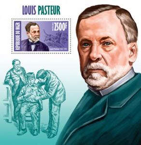 NIGER 2013 SHEET LOUIS PASTEUR nig13410b