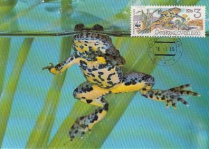 Czechoslovakia 1989 Maxicard Sc #2749 3k Yellow-bellied toad WWF