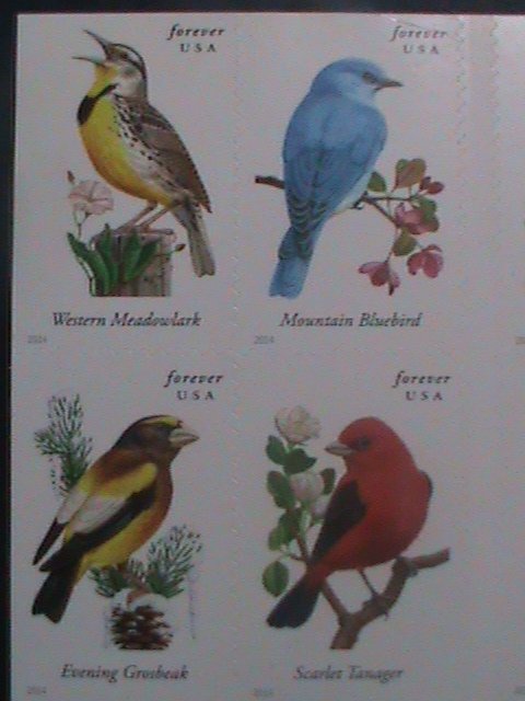 ​UNITED STATES-2014-SC#4891b COLORFUL BEAUTIFUL LOVELY SONG BIRDS MNH BOOKLET