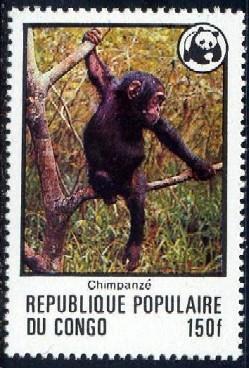 Chimpanzee, Endangered Animal, Congo stamp SC#456 MNH