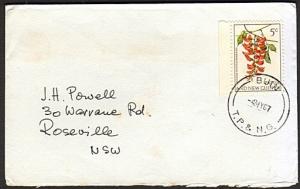 PAPUA NEW GUINEA 1967 cover ex BUIN..................................74164