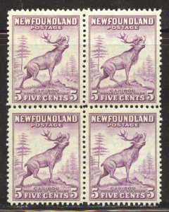 Newfoundland Scott 257 MNHOG Block of 4 - 1941 Caribou - SCV $4.00