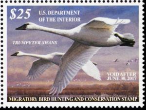 RW83, VF Mint NH 2016 Trumpeter Swans Federal Duck Stamp - Stuart Katz