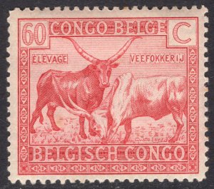 BELGIAN CONGO SCOTT 113