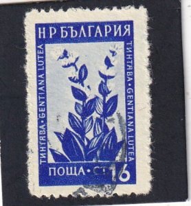 Bulgaria   #   835   used