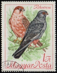 Hungary 1892 - Cto - 1fo Red-footed Falcon (1968)
