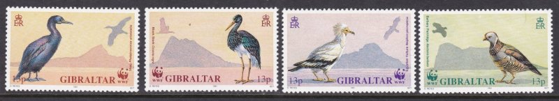 Gibraltar, Fauna, WWF, Birds MNH / 1991