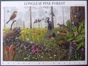 #3611, 34c Longleaf Pine Forest,  Sheet