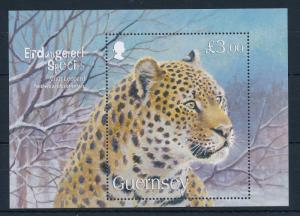 [29724] Guernsey 2009 Wild Animals Endangered species Leopard MNH Sheet