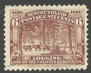 Newfoundland 66  Mint