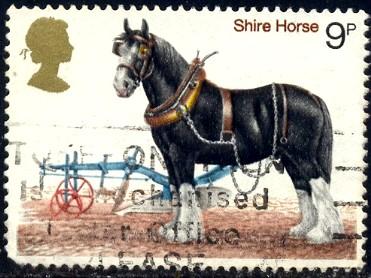 Shire Horse, British Horse, Great Britain stamp SC#839 used