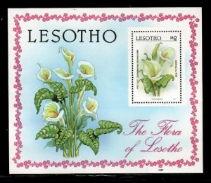 Lesotho 1987 - Flowers Fauna - Souvenir Stamp Sheet - Scott #591 - MNH