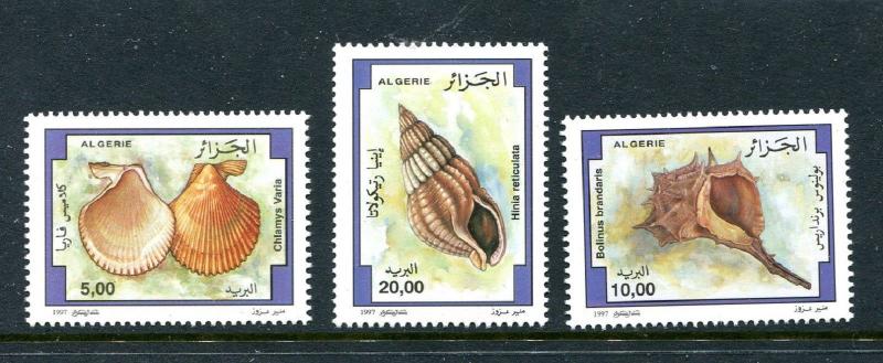 Algeria 1110-1112, MNH Marine Life, Shells 1997. x29352