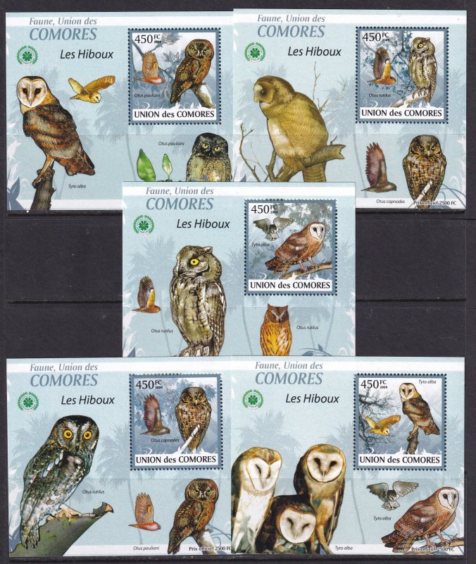 Union des Comores 2009 Birds Owls  5 S/Sheets Deluxe Edition MNH