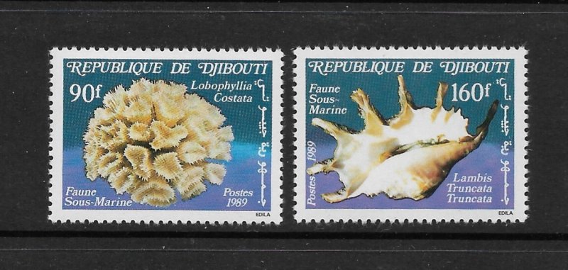 SHELLS - DJIBOUTI #642-3   MNH