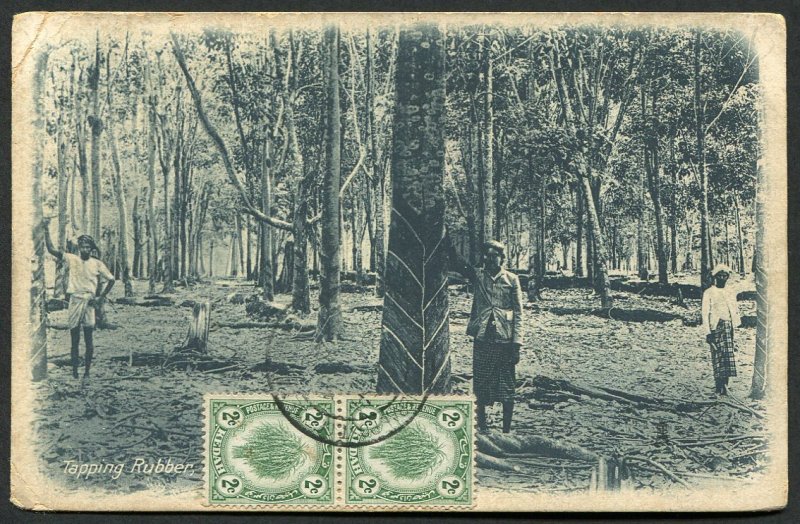 Malaysia Kedah 1920 picture postcard, 2x 2c Kedah stamps used on front