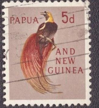 Papau New Guinea 155 Used
