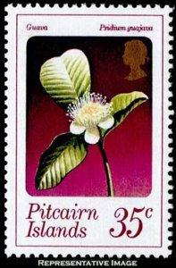 Pitcairn Islands Scott 134 Mint never hinged.