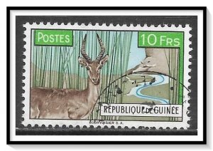 Guinea #215 Waterbuck CTOH