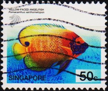 Singapore. 2001 50c S.G.1132 Fine Used