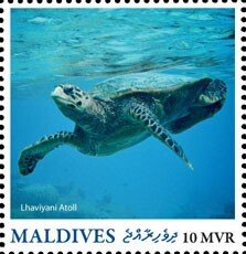 MALDIVES - 2016 - Lhaviyani Atoll - Perf Single Stamp - Mint Never Hinged