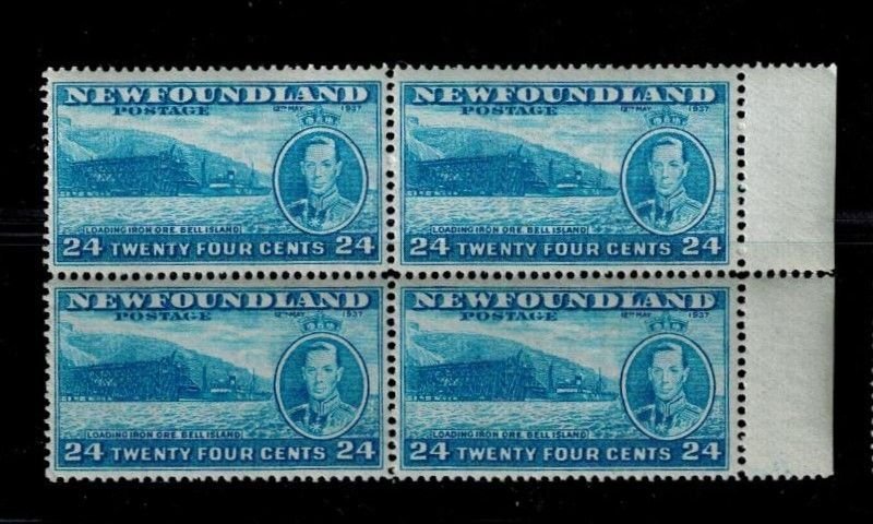 Newfoundland 241 MNH