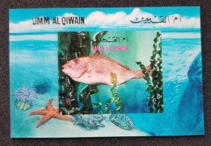 UMM Al Qiwain Fish 1972 Marine Life Coral Shell (ms) MNH *3D Lenticular *unusual