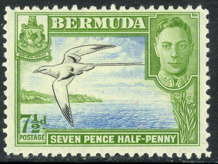 BERMUDA 1938-51 KGVI 7 1/2d BIRD Pictorial Sc 121D MH