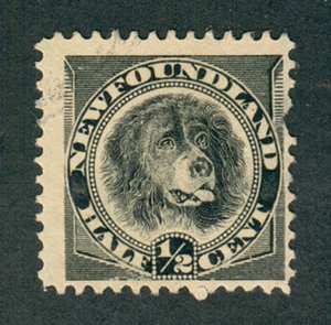 Newfoundland #58 used single