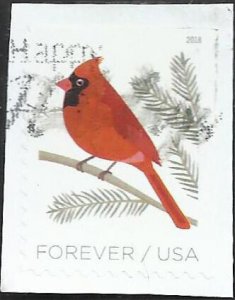 # 5318 Used Birds in Winter: Cardinal