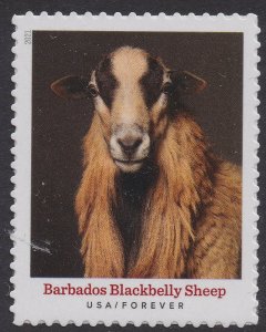 US 5592 Heritage Breeds Barbados Blackbelly Sheep forever single MNH 2021 