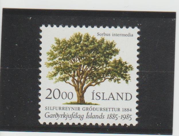 Iceland  Scott#  608  MNH  (1985 National Horticulture Society)