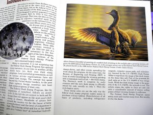 The Duck Stamp Story by Eric Jay Dolin & Bob Dumaine - Soft Cover 206 Pages