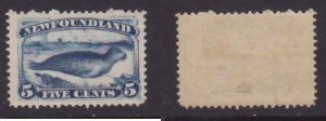 Newfoundland-Sc #54- id25-unused hinged og 5c Seal-1887-S/H fee reflects the cos