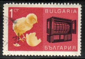 Chick and Incubator, Bulgaria  stamp SC#1599 Used