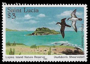 St. Lucia #773 MNH; $3 Audubon's Shearwater (1985)