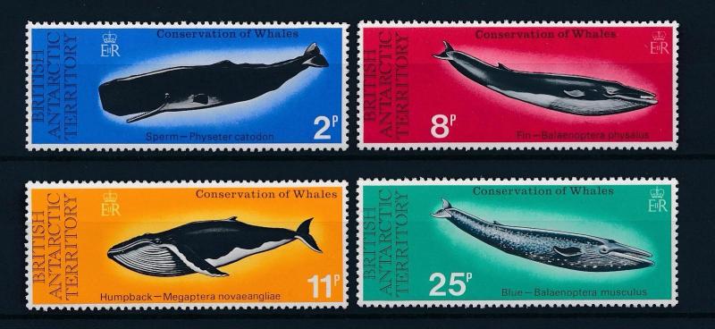 [37851] British Antarctic Territory BAT 1977 Marine life Whales MNH