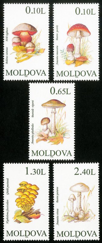 Moldova Stamps # 190-4 MNH XF Mushrooms 